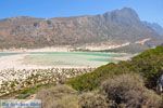 GriechenlandWeb.de Balos beach | Kreta | GriechenlandWeb.de foto 67 - Foto GriechenlandWeb.de