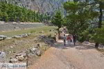 Delphi Fokida - Centraal Griekenland foto 4 - Foto van De Griekse Gids