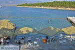 Galaxidi Fokida - Centraal Griekenland foto 4 - Foto van De Griekse Gids