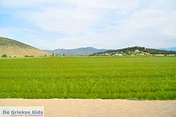 Fthiotida Centraal Griekenland - De Griekse Gids Foto 1 - Foto van https://www.grieksegids.nl/fotos/centraal-griekenland/normaal/fthiotida-foto-groot-01.jpg