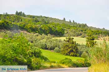 Fthiotida Centraal Griekenland - De Griekse Gids Foto 2 - Foto van https://www.grieksegids.nl/fotos/centraal-griekenland/normaal/fthiotida-foto-groot-02.jpg