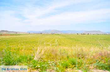 Bij Thiva Viotia Centraal Griekenland - Foto 4 - Foto van https://www.grieksegids.nl/fotos/centraal-griekenland/normaal/viotia-foto-groot-04.jpg