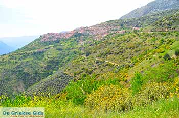 Arachova Viotia Centraal Griekenland - Foto 1 - Foto van https://www.grieksegids.nl/fotos/centraal-griekenland/normaal/viotia-foto-groot-09.jpg
