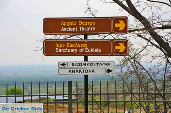 Onderweg naar Vergina | Imathia Macedonie | De Griekse Gids Foto 6 - Foto van https://www.grieksegids.nl/fotos/centraal-macedonie/imathia/normaal/imathia-macedonie-griekenland-006.jpg