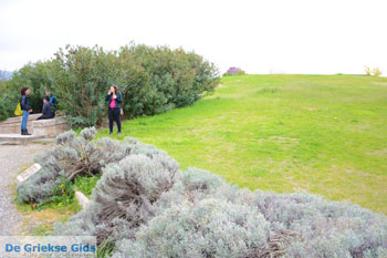 Koninklijke graftombe Vergina | Imathia Macedonie | De Griekse Gids Foto 10 - Foto van https://www.grieksegids.nl/fotos/centraal-macedonie/imathia/normaal/imathia-macedonie-griekenland-010.jpg