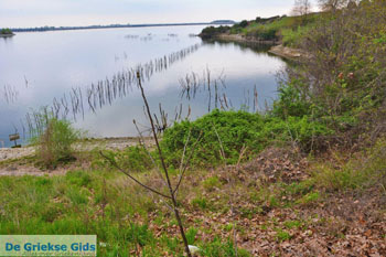 Aliakmon rivier bij Veria | Imathia Macedonie | De Griekse Gids Foto 17 - Foto van https://www.grieksegids.nl/fotos/centraal-macedonie/imathia/normaal/imathia-macedonie-griekenland-017.jpg