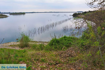 Aliakmon rivier bij Veria | Imathia Macedonie | De Griekse Gids Foto 18 - Foto van https://www.grieksegids.nl/fotos/centraal-macedonie/imathia/normaal/imathia-macedonie-griekenland-018.jpg