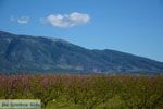 Onderweg van Giannitsa naar Edessa | Pella Macedonie foto 5 - Foto van De Griekse Gids