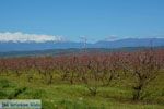 Onderweg van Giannitsa naar Edessa | Pella Macedonie foto 11 - Foto van De Griekse Gids