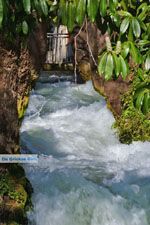 Edessa | Pella Macedonie | Griekenland foto 7 - Foto van De Griekse Gids