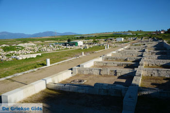 Oud Pella | Macedonie Griekenland | Foto 3 - Foto van https://www.grieksegids.nl/fotos/centraal-macedonie/pella/normaal/pella-macedonie-griekenland-005.jpg