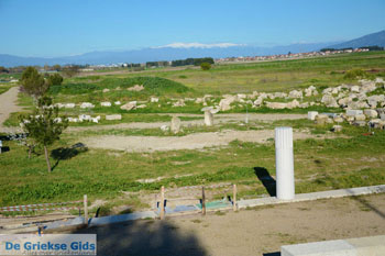 Oud Pella | Macedonie Griekenland | Foto 5 - Foto van https://www.grieksegids.nl/fotos/centraal-macedonie/pella/normaal/pella-macedonie-griekenland-007.jpg