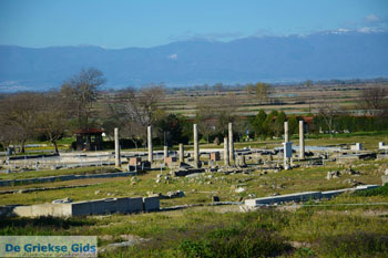 Oud Pella | Macedonie Griekenland | Foto 6 - Foto van https://www.grieksegids.nl/fotos/centraal-macedonie/pella/normaal/pella-macedonie-griekenland-008.jpg