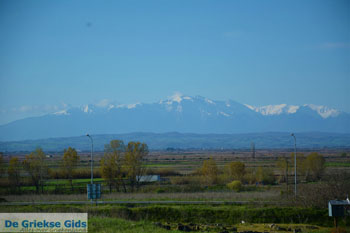 Oud Pella | Macedonie Griekenland | Foto 8 - Foto van https://www.grieksegids.nl/fotos/centraal-macedonie/pella/normaal/pella-macedonie-griekenland-010.jpg
