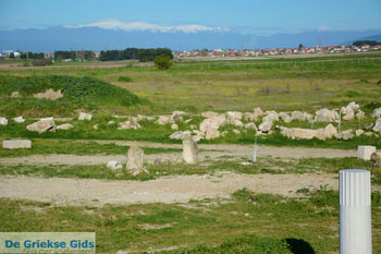 Oud Pella | Macedonie Griekenland | Foto 10 - Foto van https://www.grieksegids.nl/fotos/centraal-macedonie/pella/normaal/pella-macedonie-griekenland-012.jpg