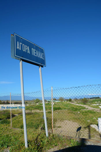 Oud Pella | Macedonie Griekenland | Foto 14 - Foto van https://www.grieksegids.nl/fotos/centraal-macedonie/pella/normaal/pella-macedonie-griekenland-016.jpg