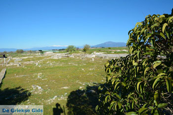 Oud Pella | Macedonie Griekenland | Foto 17 - Foto van https://www.grieksegids.nl/fotos/centraal-macedonie/pella/normaal/pella-macedonie-griekenland-019.jpg