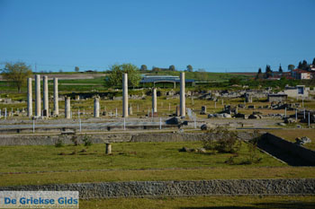 Oud Pella | Macedonie Griekenland | Foto 21 - Foto van https://www.grieksegids.nl/fotos/centraal-macedonie/pella/normaal/pella-macedonie-griekenland-023.jpg