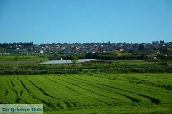 Nieuw Pella | Macedonie Griechenland | Foto 1 - Foto GriechenlandWeb.de