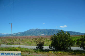 Onderweg van Giannitsa naar Edessa | Pella Macedonie foto 2 - Foto van https://www.grieksegids.nl/fotos/centraal-macedonie/pella/normaal/pella-macedonie-griekenland-042.jpg