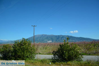 Onderweg van Giannitsa naar Edessa | Pella Macedonie foto 3 - Foto van https://www.grieksegids.nl/fotos/centraal-macedonie/pella/normaal/pella-macedonie-griekenland-043.jpg