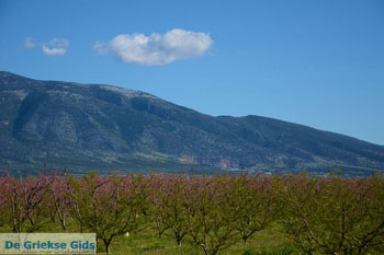 Onderweg van Giannitsa naar Edessa | Pella Macedonie foto 5 - Foto van https://www.grieksegids.nl/fotos/centraal-macedonie/pella/normaal/pella-macedonie-griekenland-045.jpg