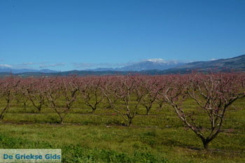 Onderweg van Giannitsa naar Edessa | Pella Macedonie foto 10 - Foto van https://www.grieksegids.nl/fotos/centraal-macedonie/pella/normaal/pella-macedonie-griekenland-050.jpg