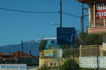 Skydra | Pella Macedonie | Griekenland - Foto van https://www.grieksegids.nl/fotos/centraal-macedonie/pella/normaal/pella-macedonie-griekenland-052.jpg