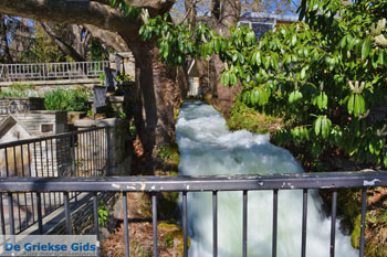 Edessa | Pella Macedonie | Griekenland foto 5 - Foto van https://www.grieksegids.nl/fotos/centraal-macedonie/pella/normaal/pella-macedonie-griekenland-064.jpg