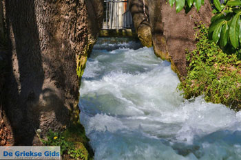 Edessa | Pella Macedonie | Griekenland foto 6 - Foto van https://www.grieksegids.nl/fotos/centraal-macedonie/pella/normaal/pella-macedonie-griekenland-065.jpg