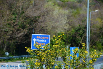 Edessa | Pella Macedonie | Griekenland foto 26 - Foto van https://www.grieksegids.nl/fotos/centraal-macedonie/pella/normaal/pella-macedonie-griekenland-085.jpg