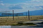 Stranden Pieria | Olympische Riviera | Macedonie foto 14 - Foto van De Griekse Gids