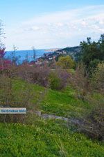 De  kust Platamonas und Neoi Poroi | Pieria Macedonie | Foto 1 - Foto GriechenlandWeb.de