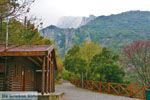 Nationaal Park van Olympus Litochoro | Pieria Macedonie | Foto 4 - Foto GriechenlandWeb.de