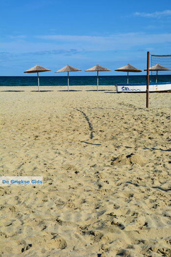 Stranden Pieria | Olympische Riviera | Macedonie foto 9 - Foto van https://www.grieksegids.nl/fotos/centraal-macedonie/pieria/normaal/pieria-macedonie-griekenland-010.jpg