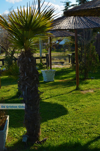 Stranden Pieria | Olympische Riviera | Macedonie foto 13 - Foto van https://www.grieksegids.nl/fotos/centraal-macedonie/pieria/normaal/pieria-macedonie-griekenland-014.jpg