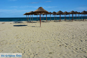 Stranden Pieria | Olympische Riviera | Macedonie foto 21 - Foto van https://www.grieksegids.nl/fotos/centraal-macedonie/pieria/normaal/pieria-macedonie-griekenland-022.jpg