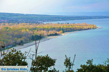 De kust bij Platamonas, Panteleimon en Skotini | Pieria Macedonie| Foto 3 - Foto van https://www.grieksegids.nl/fotos/centraal-macedonie/pieria/normaal/pieria-macedonie-griekenland-047.jpg