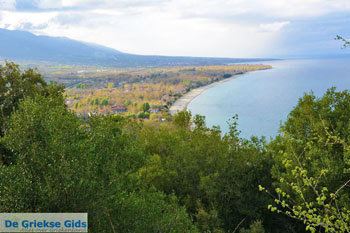 De kust Platamonas, Panteleimon und Skotini | Pieria Macedonie| Foto 6 - Foto von GriechenlandWeb.de