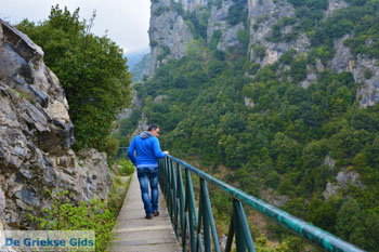 Nationaal Park van Olympus bij Litochoro | Pieria Macedonie | Foto 7 - Foto van https://www.grieksegids.nl/fotos/centraal-macedonie/pieria/normaal/pieria-macedonie-griekenland-089.jpg