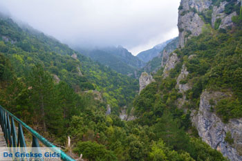 Enipeas kloof bij Litochoro en Olympus | Pieria Macedonie | Griekenland foto 1 - Foto van https://www.grieksegids.nl/fotos/centraal-macedonie/pieria/normaal/pieria-macedonie-griekenland-092.jpg