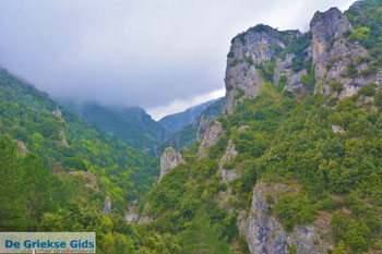 Enipeas kloof bij Litochoro en Olympus | Pieria Macedonie | Griekenland foto 2 - Foto van https://www.grieksegids.nl/fotos/centraal-macedonie/pieria/normaal/pieria-macedonie-griekenland-093.jpg