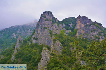 Enipeas kloof bij Litochoro en Olympus | Pieria Macedonie | Griekenland foto 3 - Foto van https://www.grieksegids.nl/fotos/centraal-macedonie/pieria/normaal/pieria-macedonie-griekenland-094.jpg