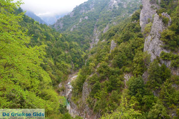 Enipeas kloof bij Litochoro en Olympus | Pieria Macedonie | Griekenland foto 4 - Foto van https://www.grieksegids.nl/fotos/centraal-macedonie/pieria/normaal/pieria-macedonie-griekenland-095.jpg