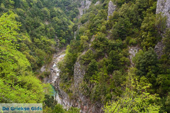 Enipeas kloof bij Litochoro en Olympus | Pieria Macedonie | Griekenland foto 5 - Foto van https://www.grieksegids.nl/fotos/centraal-macedonie/pieria/normaal/pieria-macedonie-griekenland-096.jpg