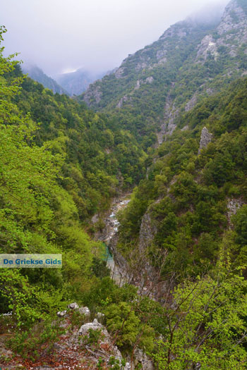 Enipeas kloof bij Litochoro en Olympus | Pieria Macedonie | Griekenland foto 6 - Foto van https://www.grieksegids.nl/fotos/centraal-macedonie/pieria/normaal/pieria-macedonie-griekenland-097.jpg