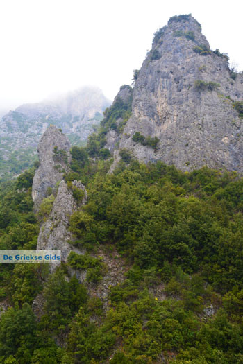 Enipeas kloof bij Litochoro en Olympus | Pieria Macedonie | Griekenland foto 9 - Foto van https://www.grieksegids.nl/fotos/centraal-macedonie/pieria/normaal/pieria-macedonie-griekenland-100.jpg