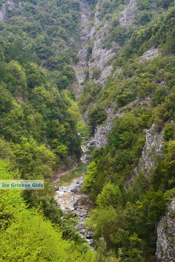 Enipeas kloof bij Litochoro en Olympus | Pieria Macedonie | Griekenland foto 10 - Foto van https://www.grieksegids.nl/fotos/centraal-macedonie/pieria/normaal/pieria-macedonie-griekenland-101.jpg