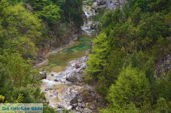 Enipeas kloof bij Litochoro en Olympus | Pieria Macedonie | Griekenland foto 11 - Foto van https://www.grieksegids.nl/fotos/centraal-macedonie/pieria/normaal/pieria-macedonie-griekenland-102.jpg