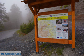 Bij Prionia Olympus | Pieria Macedonie | Griekenland foto 1 - Foto van https://www.grieksegids.nl/fotos/centraal-macedonie/pieria/normaal/pieria-macedonie-griekenland-117.jpg